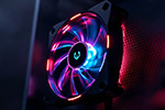 Fan *