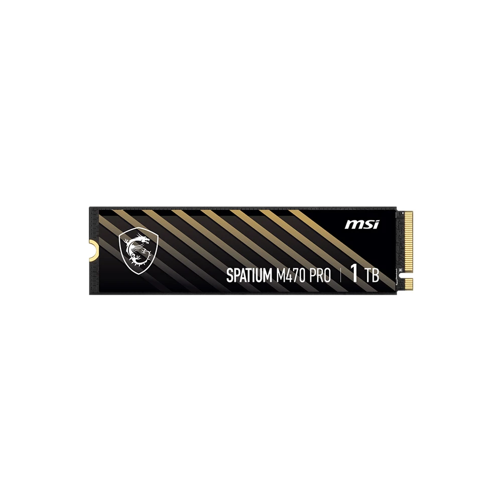 MSI SPATIUM M470 PRO 1TB 6000/4500MBs M.2 SSD