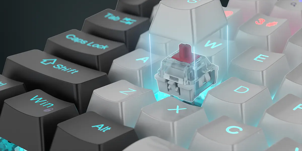 60 Milyon Ömürlü Yeni Nesil Switchler