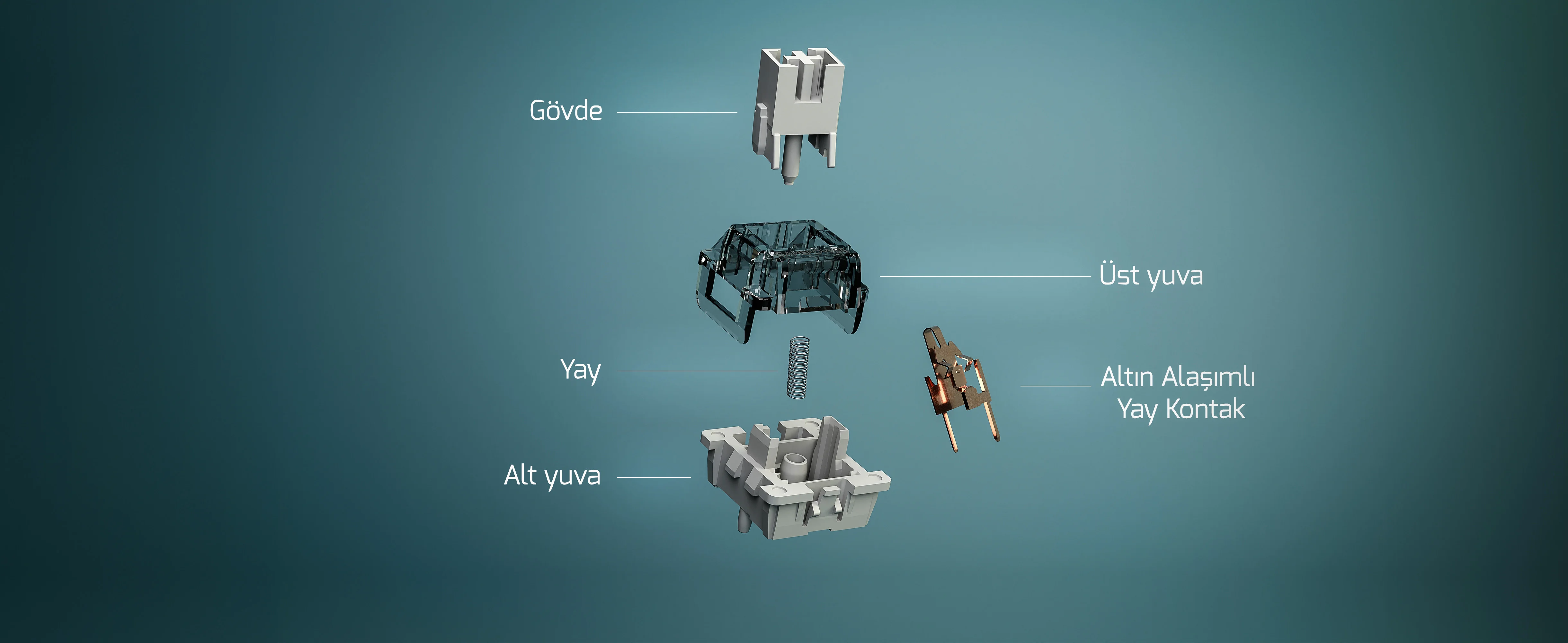 GamePower Switchlerin Anatomisini Keşfedin