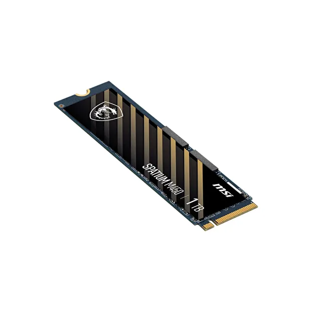 MSI SPATIUM M450 1TB 3400-2400MB/s M.2 SSD 