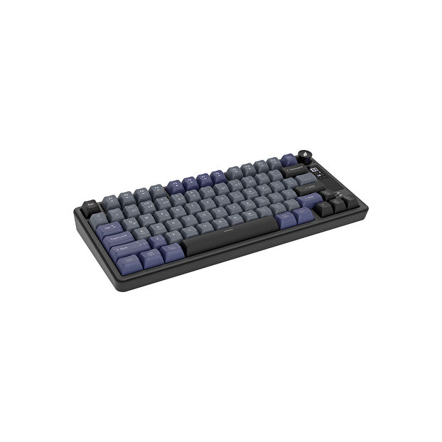 Hawk Gaming HK255 Membrane LCD RGB Kablosuz Siyah Gri Gaming Klavye
