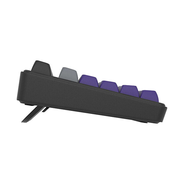 Hawk Gaming HK258 Membrane LCD RGB Kablosuz Gri Mor Gaming Klavye