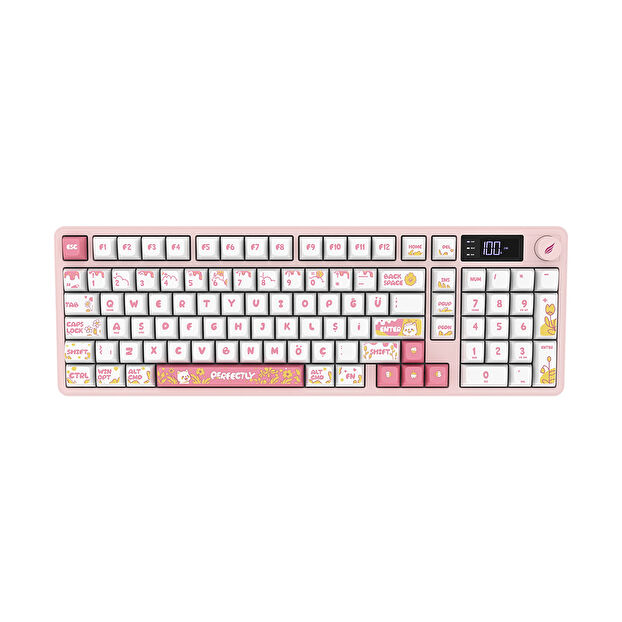 Hawk Gaming HK258 Membrane LCD RGB Kablosuz Beyaz Pembe Gaming Klavye