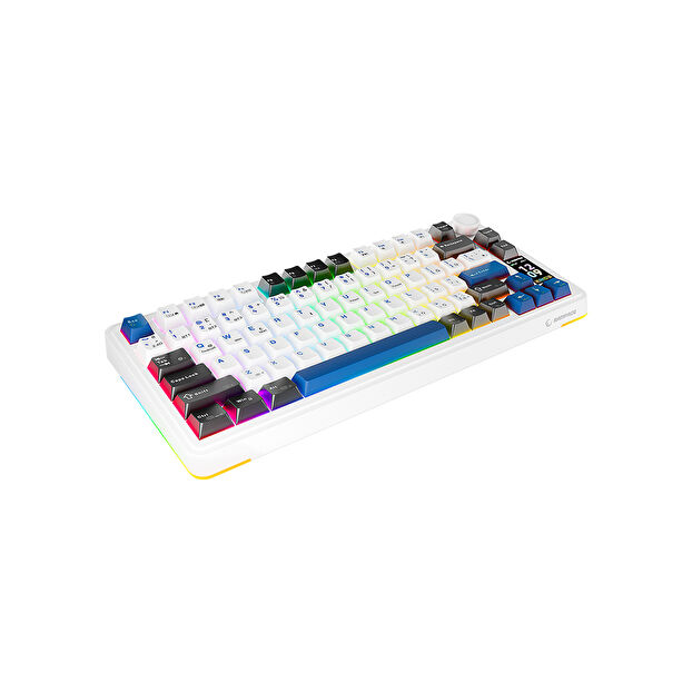 Rampage Quell Pro RGB Oil Switch Kablosuz Gaming Klavye